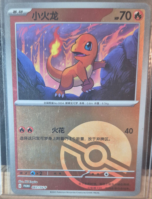 Promo #67 - Charmander